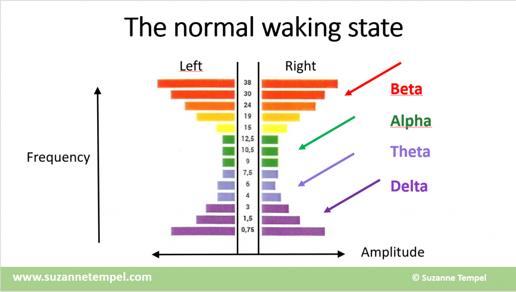 Normal Waking State Brain Waves
